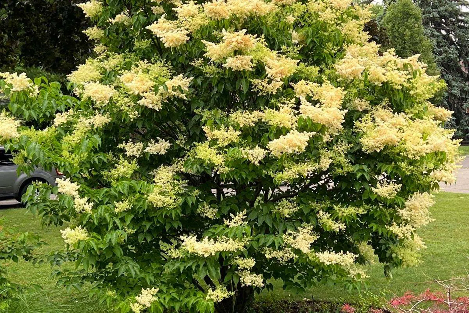 Additional image 6 of 1 Bryant Court