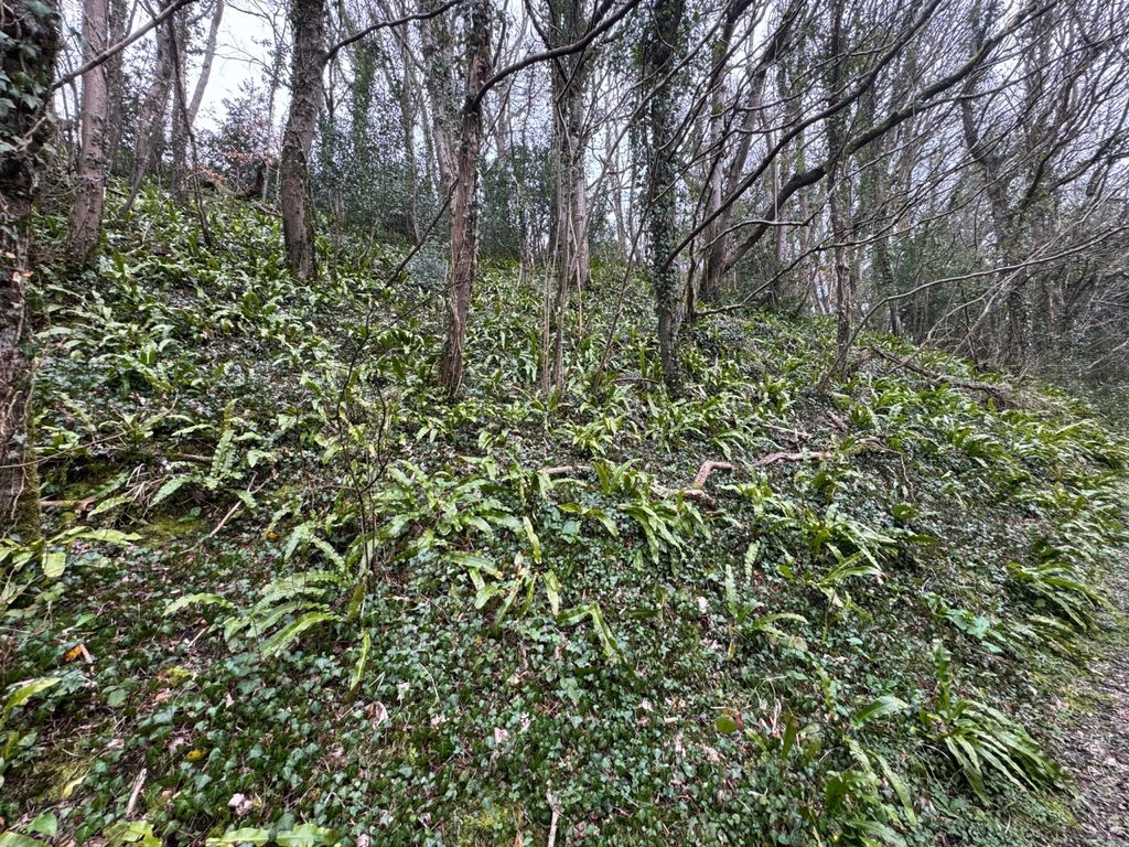 Additional image 6 of Land for saleSouth Tawton, Okehampton, Devon EX20