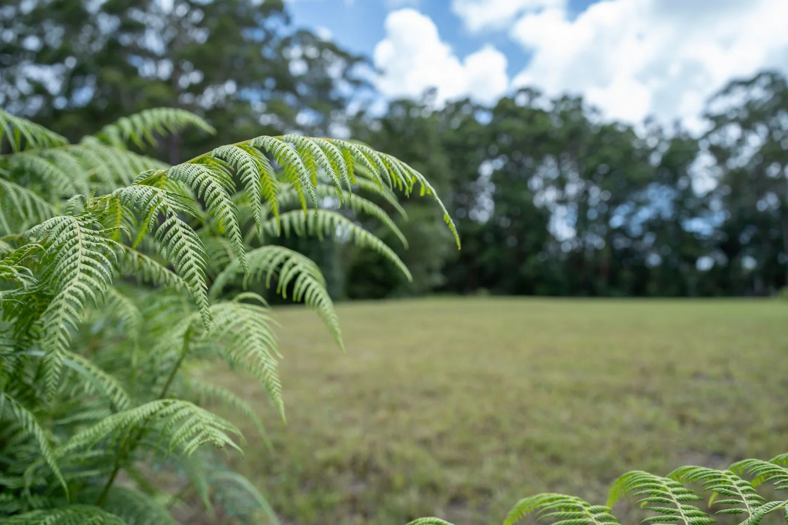 Additional image 5 of 32 Dunne Road, Glenview QLD 4553