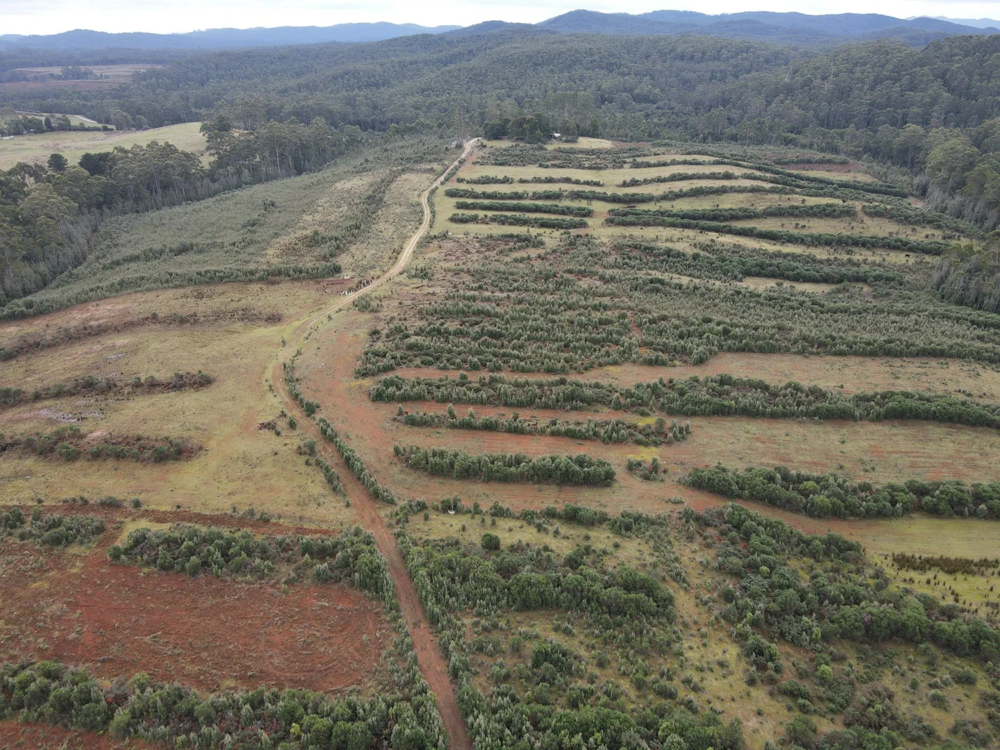 Additional image 5 of 885 Newhaven Road, Mawbanna TAS 7321