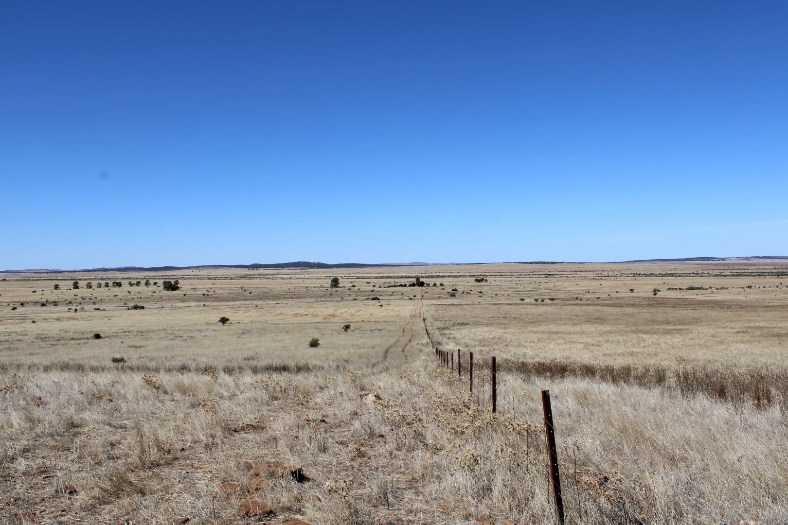 Additional image 4 of 1860 Cleary Road, Terowie SA 5421