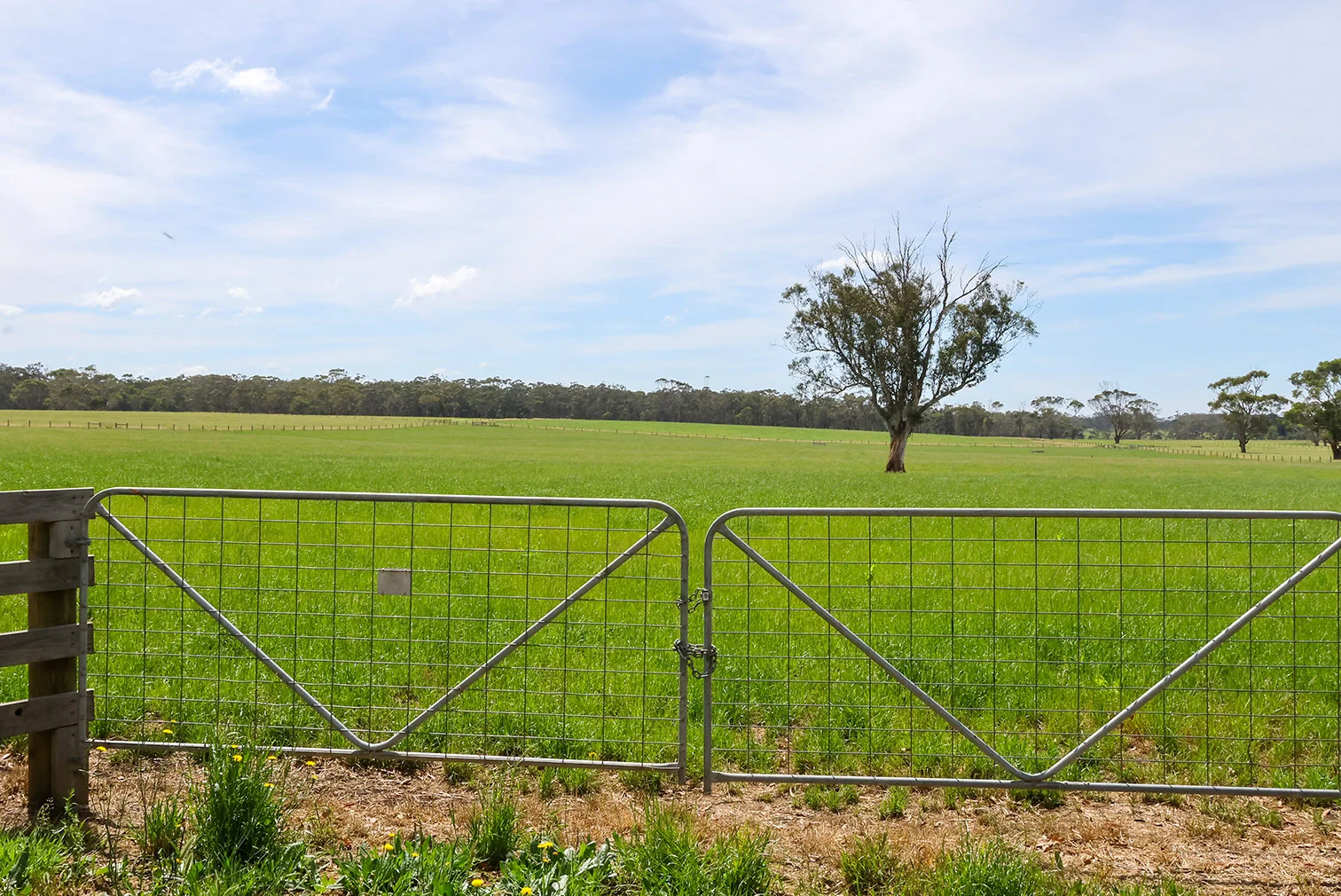 Additional image 5 of 211 Rollos Road, Panmure VIC 3265