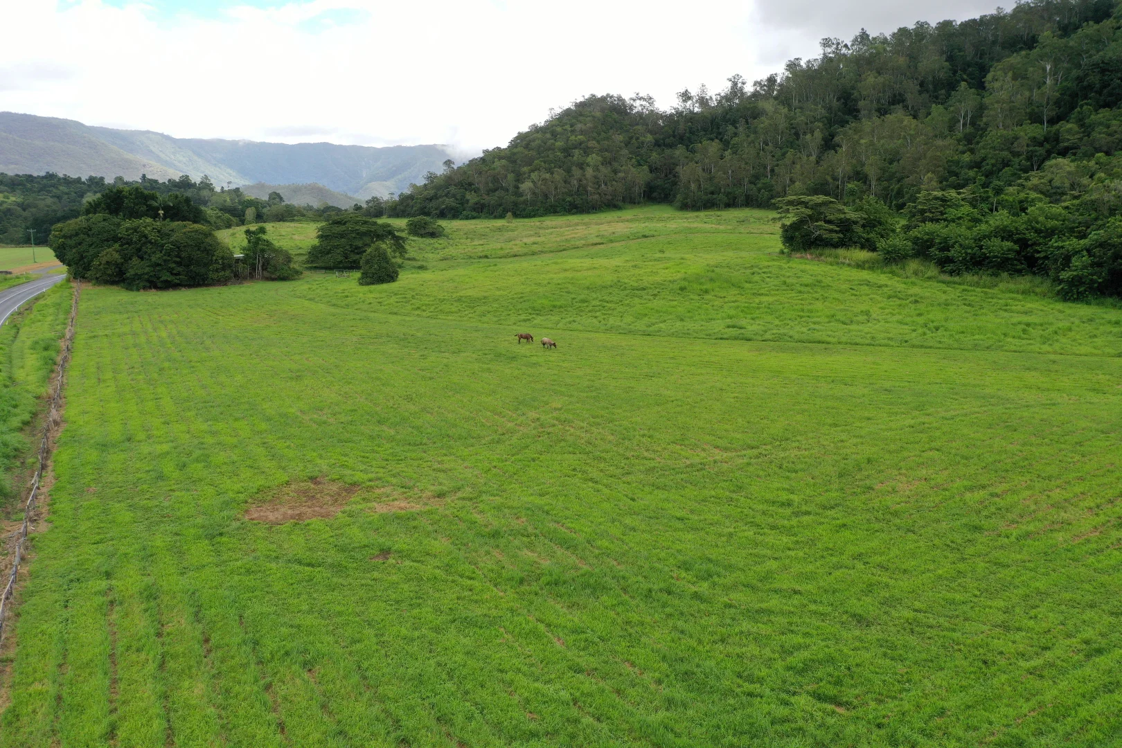 Additional image 2 of Gillies Range Road, Little Mulgrave QLD 4865