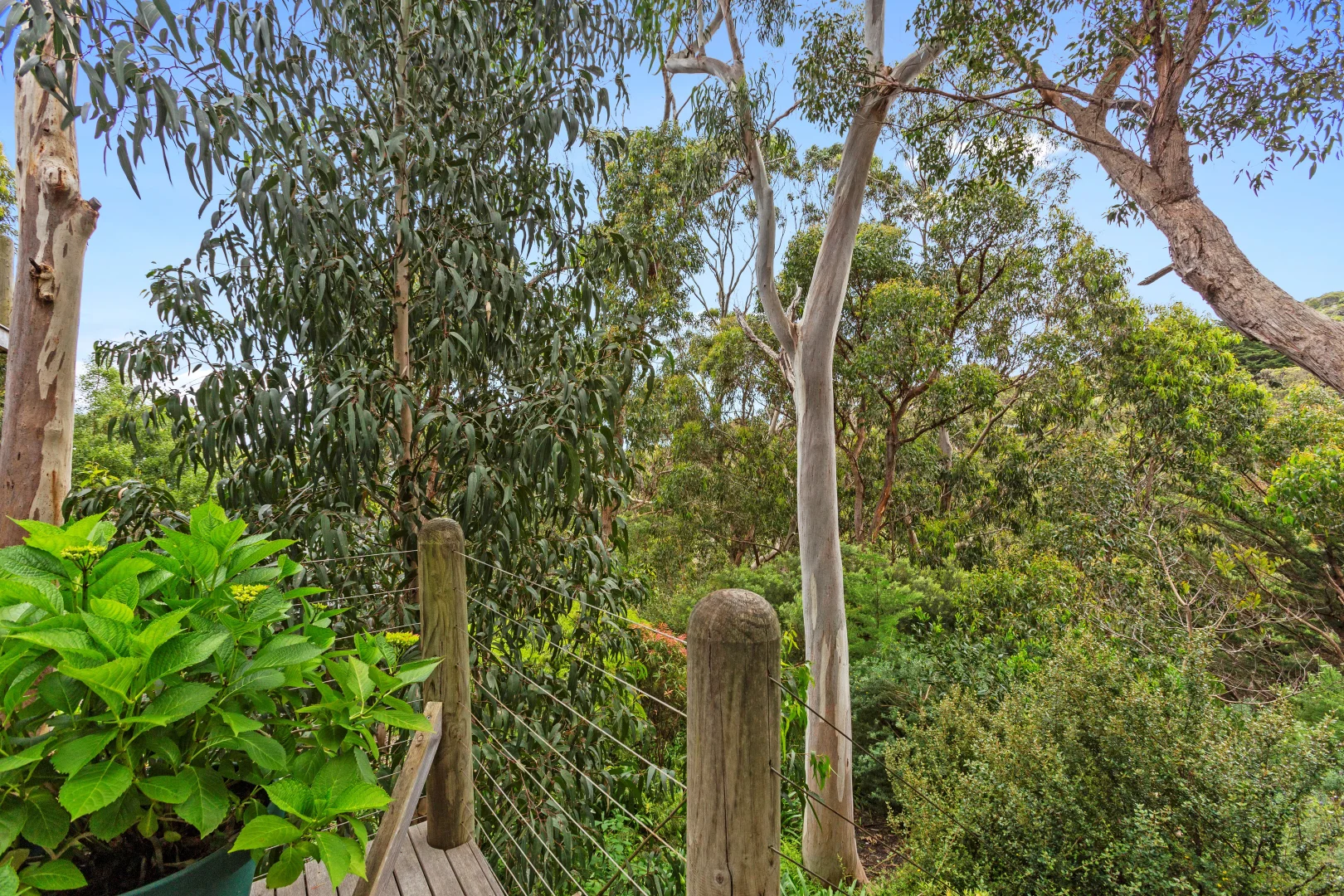 Additional image 16 of 19 Old Coach Road, Skenes Creek VIC 3233