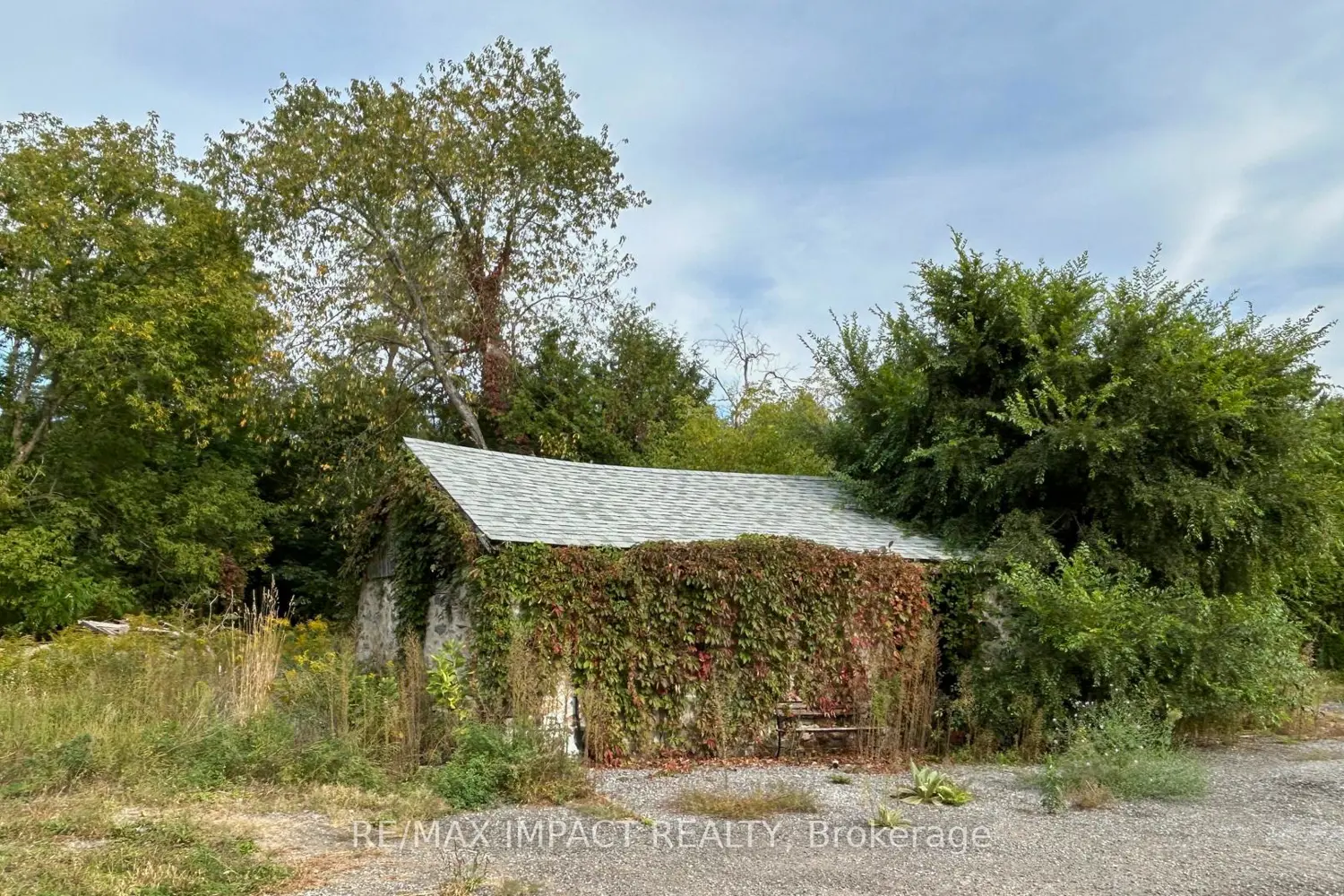 Additional image 19 of 10249 Old Scugog Road