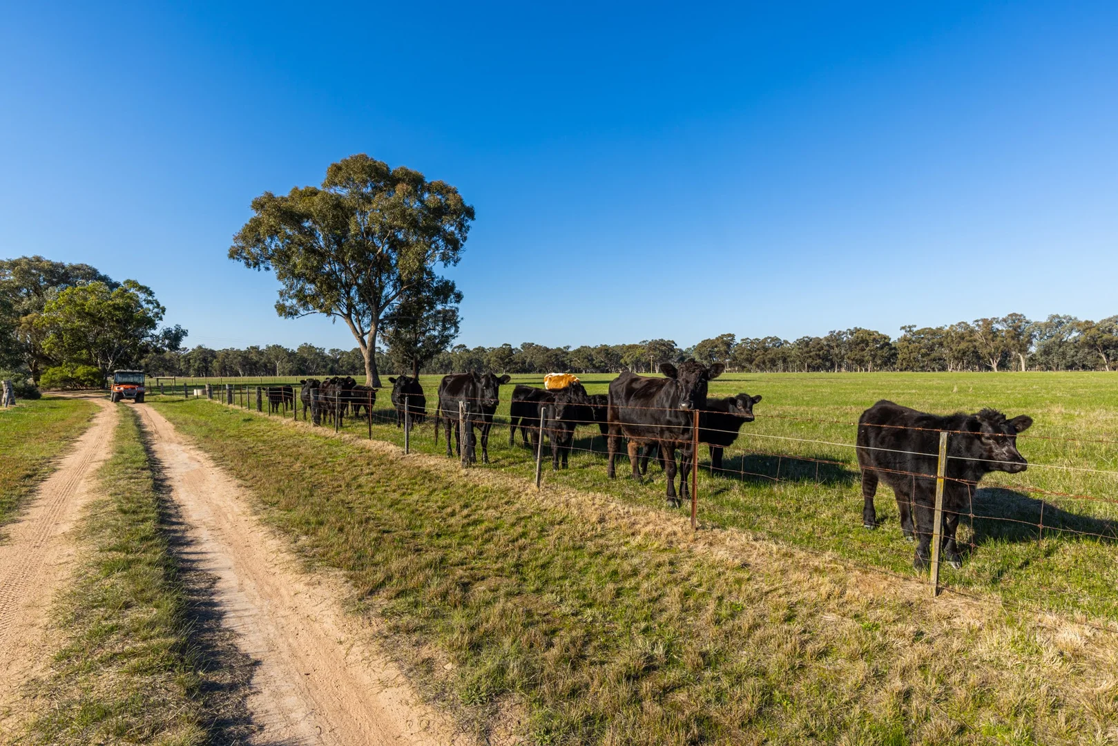 Additional image 6 of 242 Frost Road, Killawarra VIC 3678