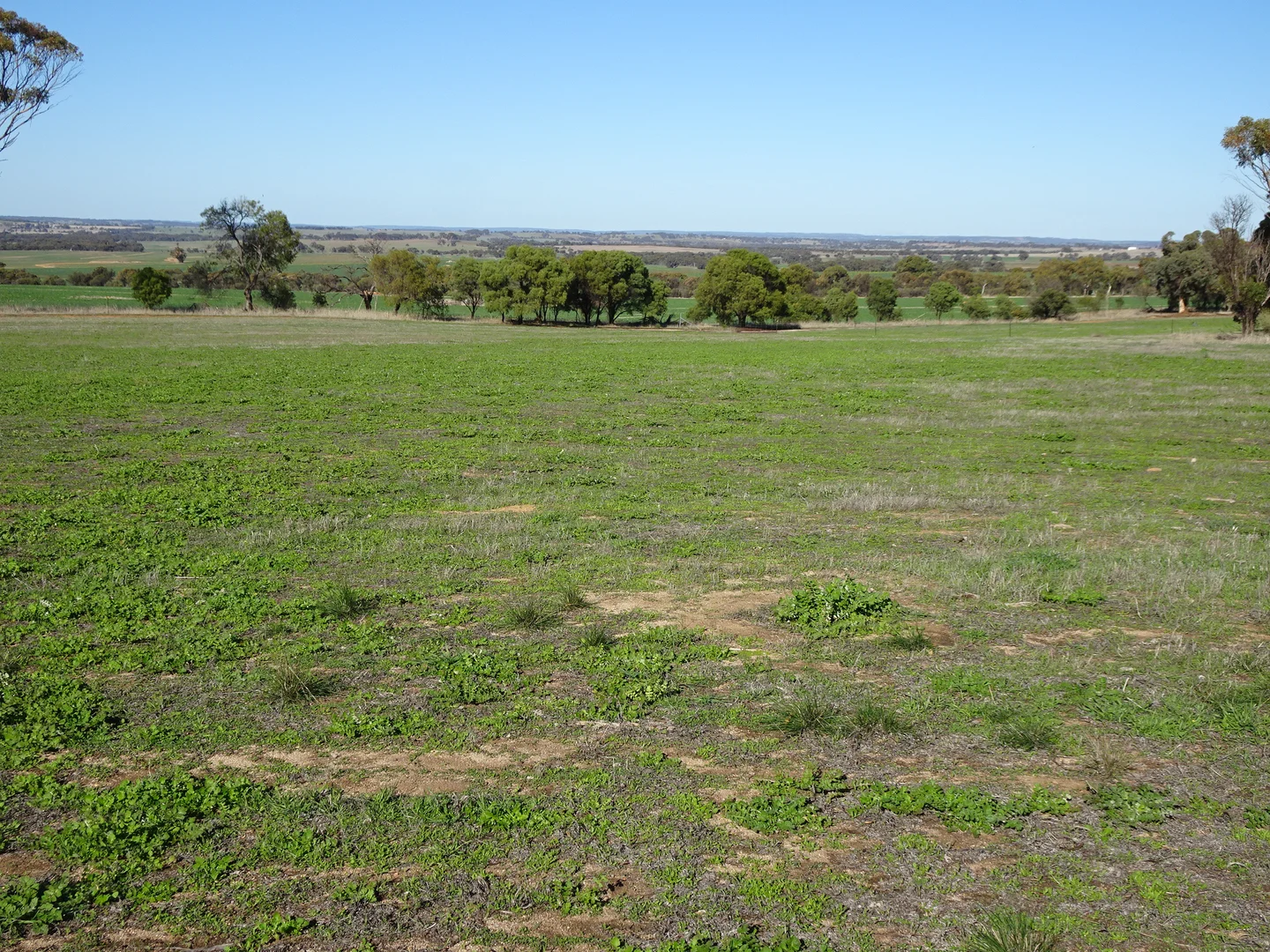 Additional image 28 of Shaddick Road, East Pingelly WA 6308