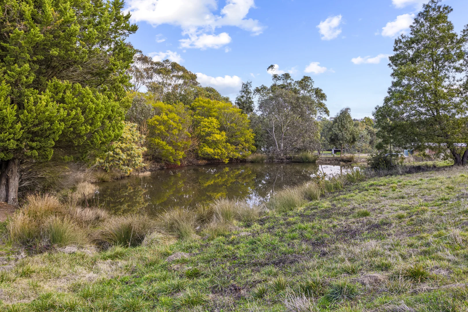 Additional image 3 of 25A Flockhart Street, Mount Pleasant VIC 3350