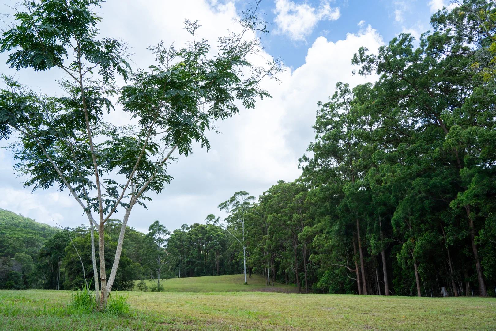 Additional image 14 of 32 Dunne Road, Glenview QLD 4553