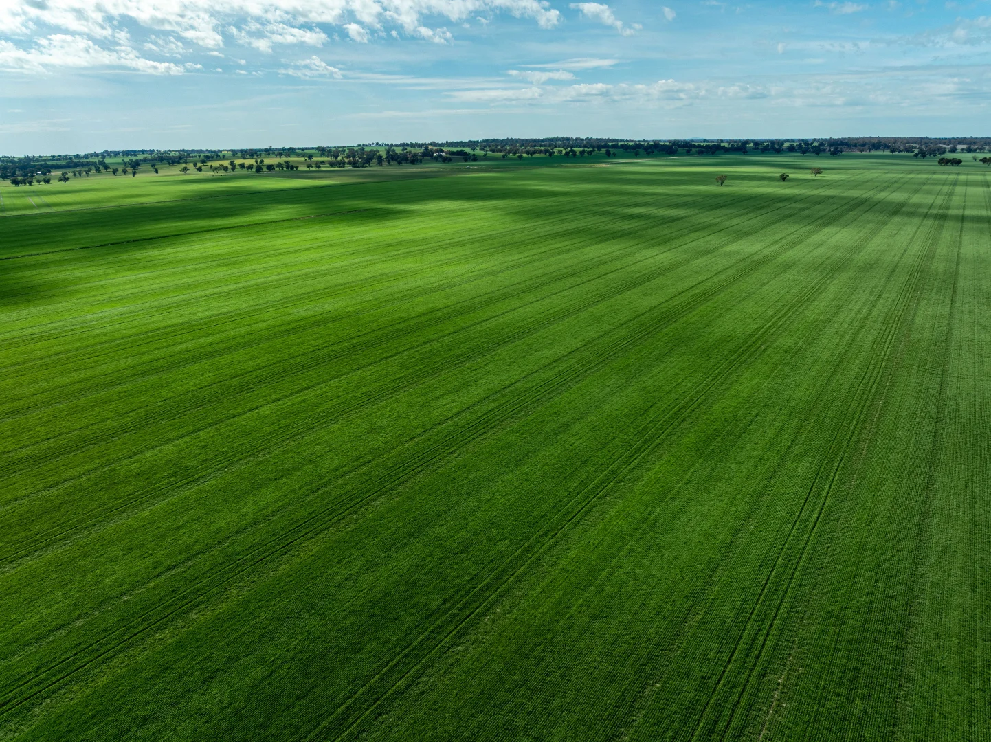 Additional image 21 of 90 Kilnyana Road, Savernake NSW 2646