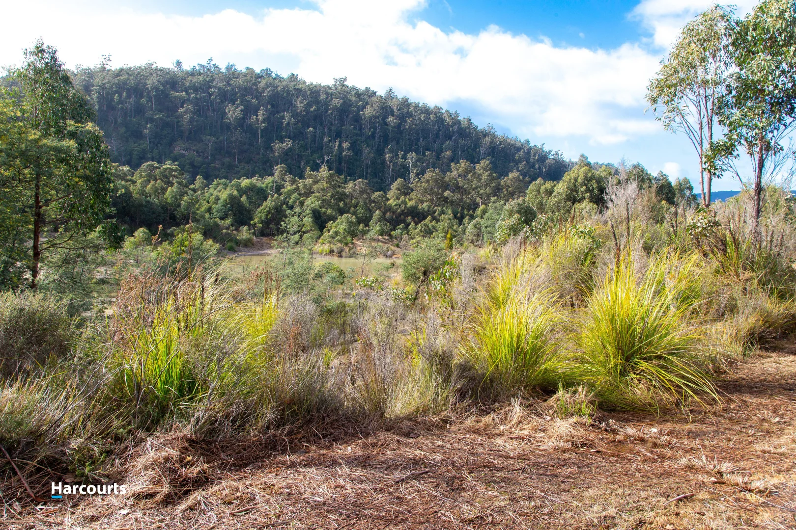 Additional image 4 of 623 Denison Road, Lonnavale TAS 7109