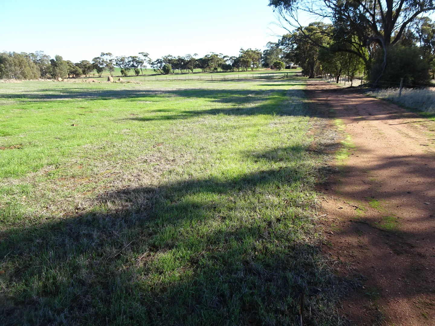 Additional image 21 of Shaddick Road, East Pingelly WA 6308