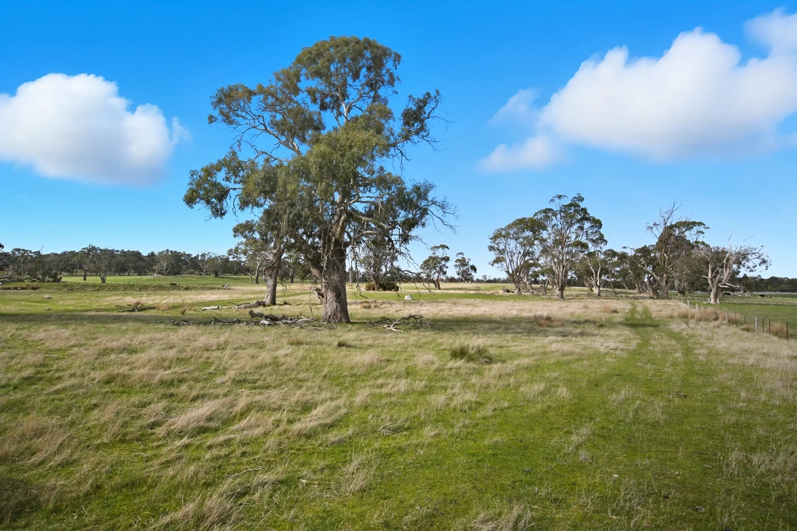 Additional image 28 of 33 Haggerston Farm Road, Perth TAS 7300