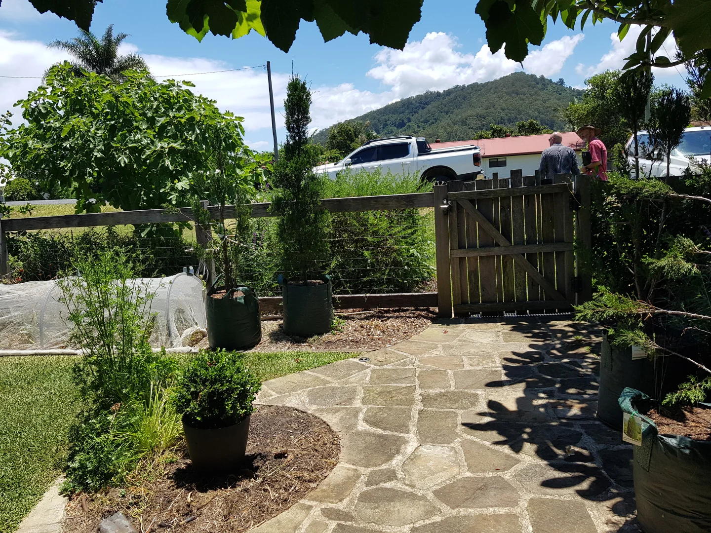 Additional image 5 of 3772 The Bucketts Way, Krambach NSW 2429