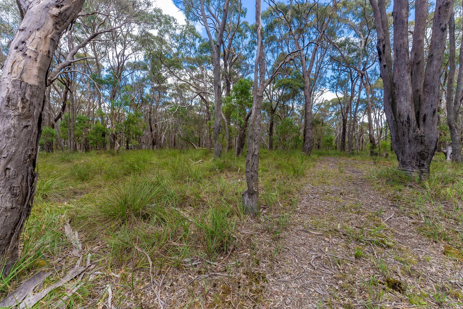 Additional image 6 of Lot 5 Hardies Road, Garibaldi VIC 3352