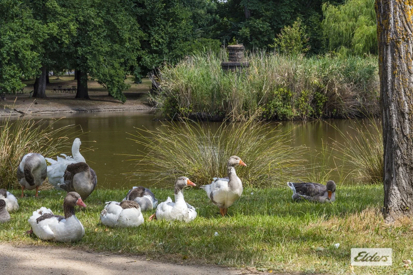 Additional image 8 of 7 &  11 Ellesmere Place, Malmsbury VIC 3446