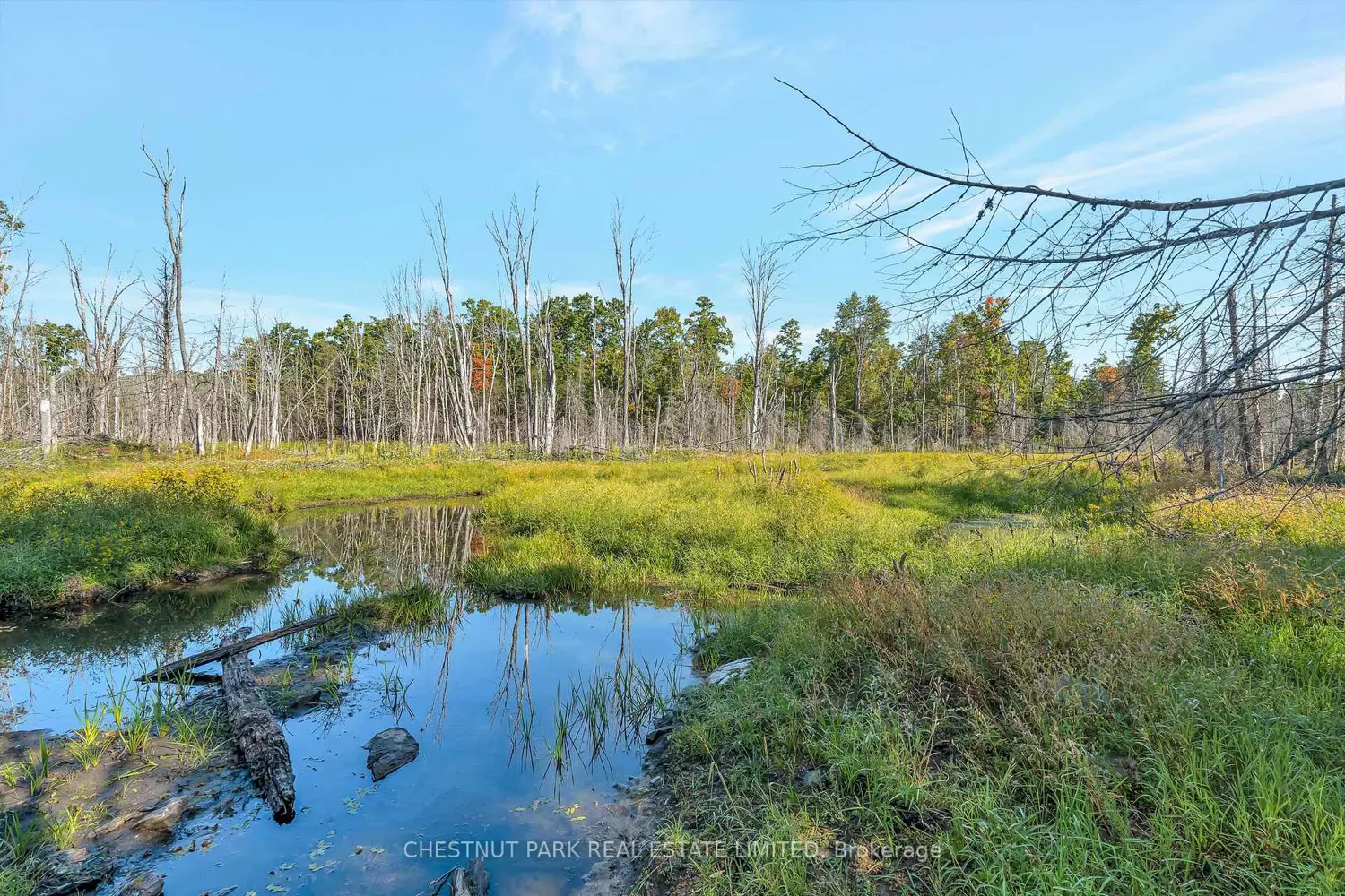 Additional image 14 of 682 Felbers Road