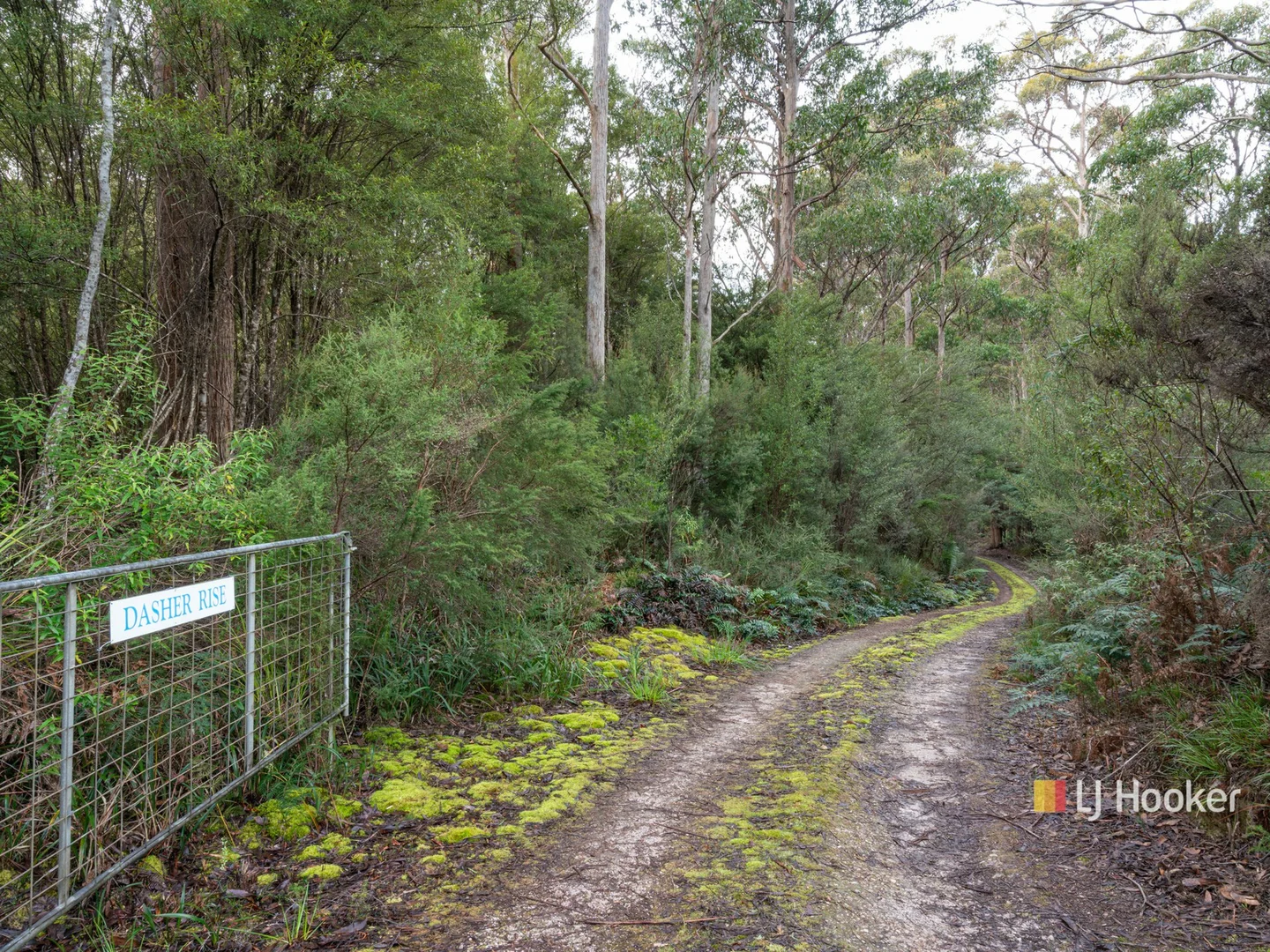 Additional image 15 of 78 Cethana Road, Cethana TAS 7306