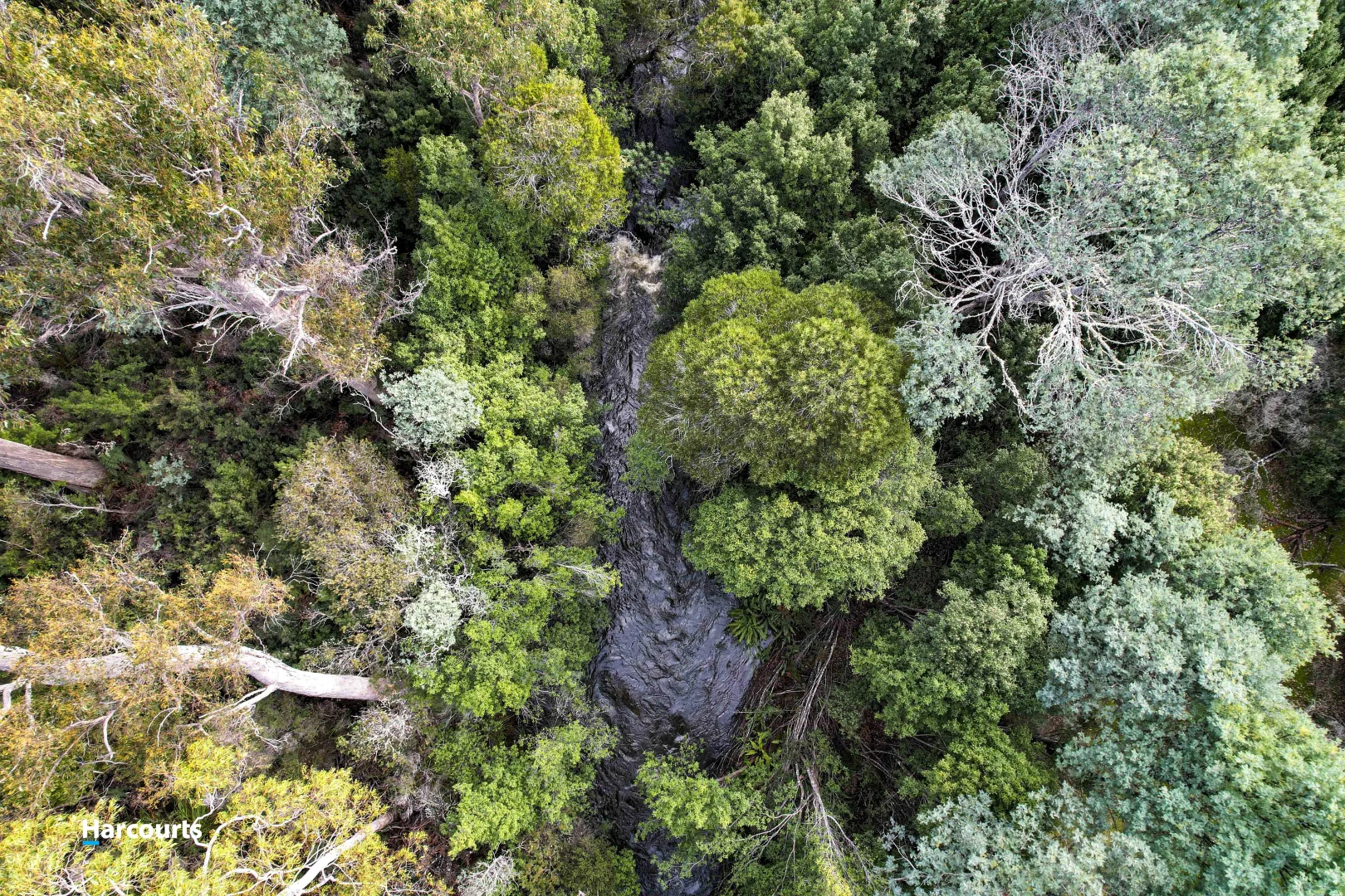 Additional image 3 of 623 Denison Road, Lonnavale TAS 7109