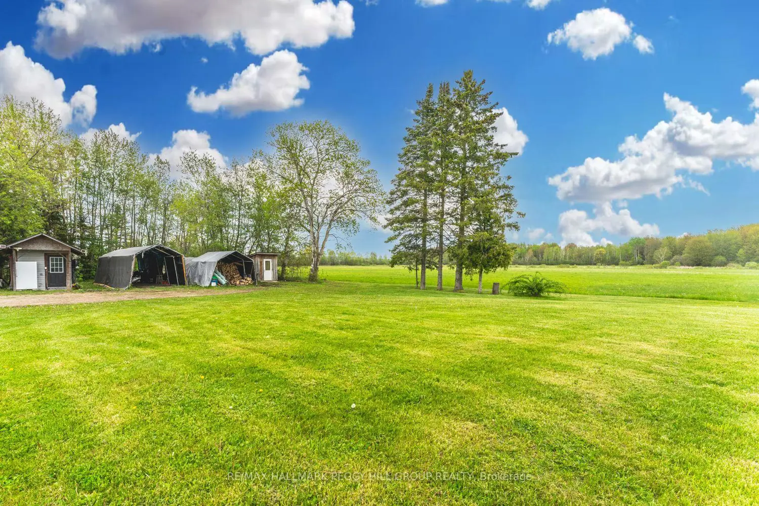 Additional image 18 of 8747 10Th Line