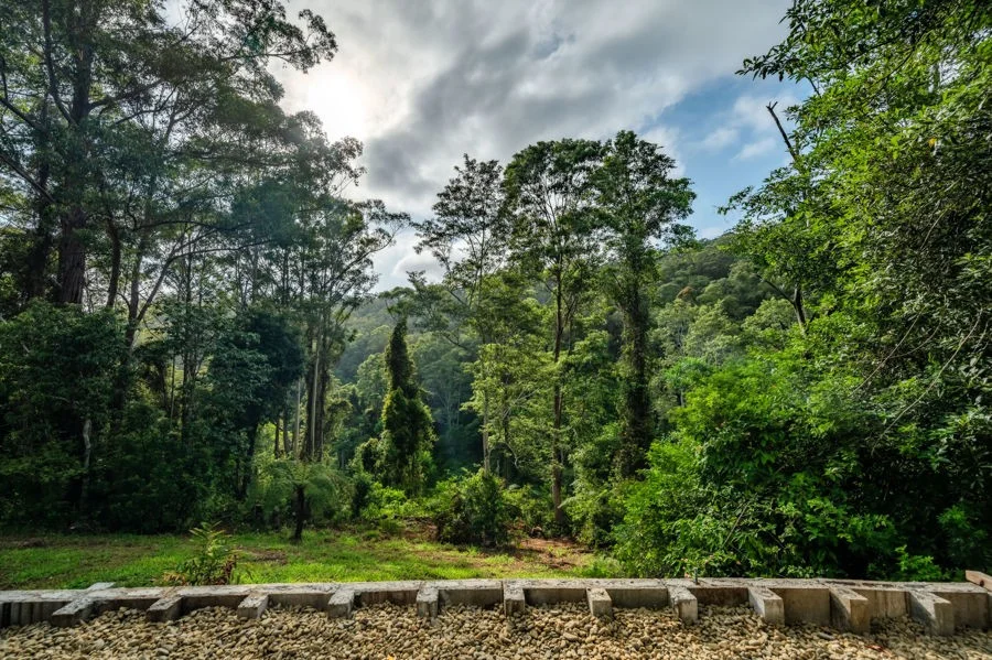 Additional image 6 of 219 Bowraville Road, Bellingen NSW 2454