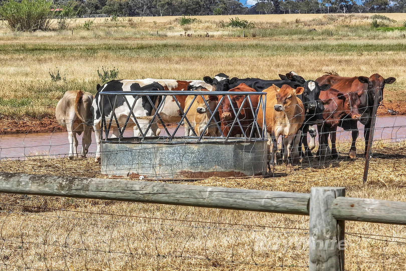 Additional image 29 of 65 Christie Road, Rochester VIC 3561