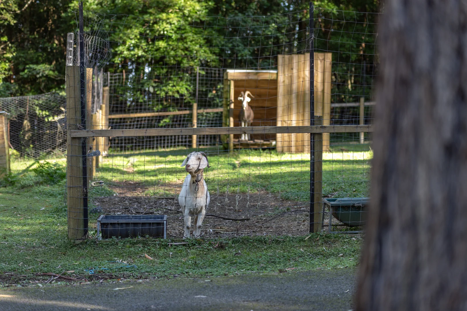 Additional image 26 of 236a Tullouch Road, Broughton Vale NSW 2535