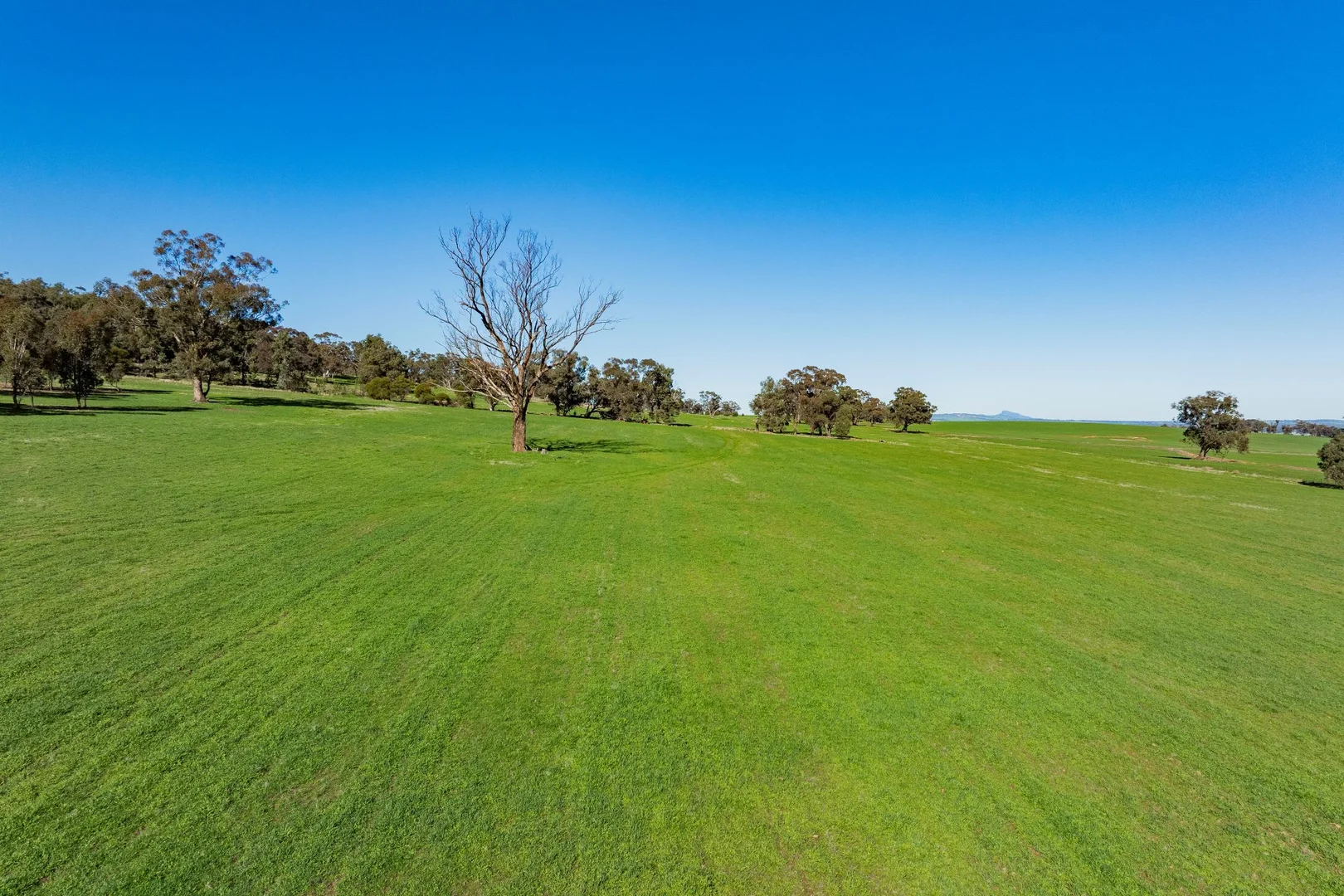 Additional image 6 of 945 The Gap Road, Wagga Wagga NSW 2650