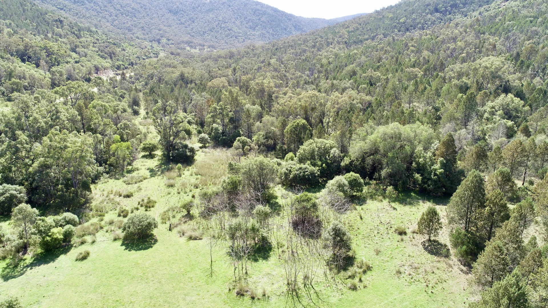 Additional image 14 of 34 Joshua Place, Moore Creek NSW 2340