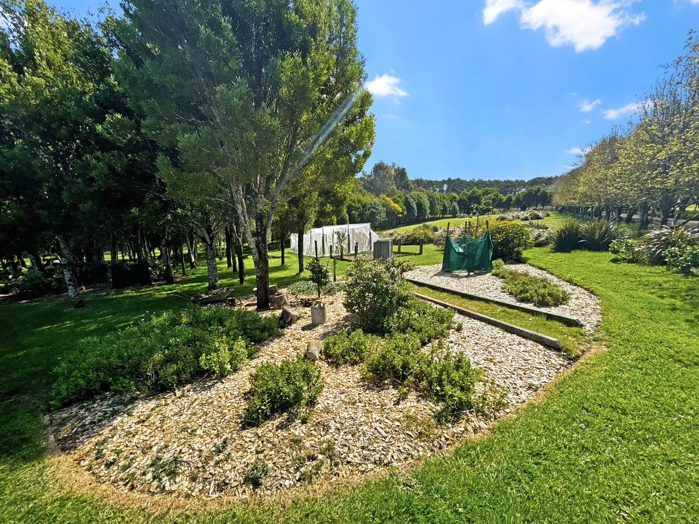 Additional image 21 of 4695 Colac Lavers Hill Road, Wyelangta VIC 3237