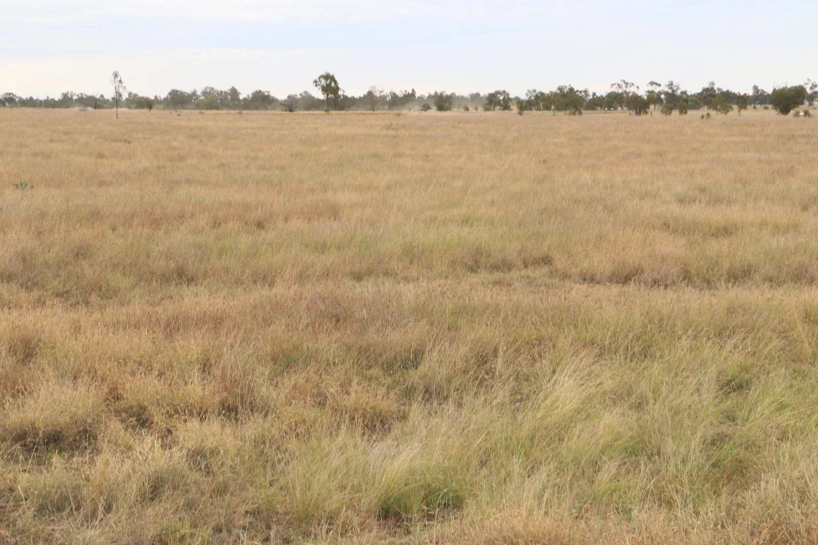 Additional image 12 of Ona Ona Road, Roma QLD 4455