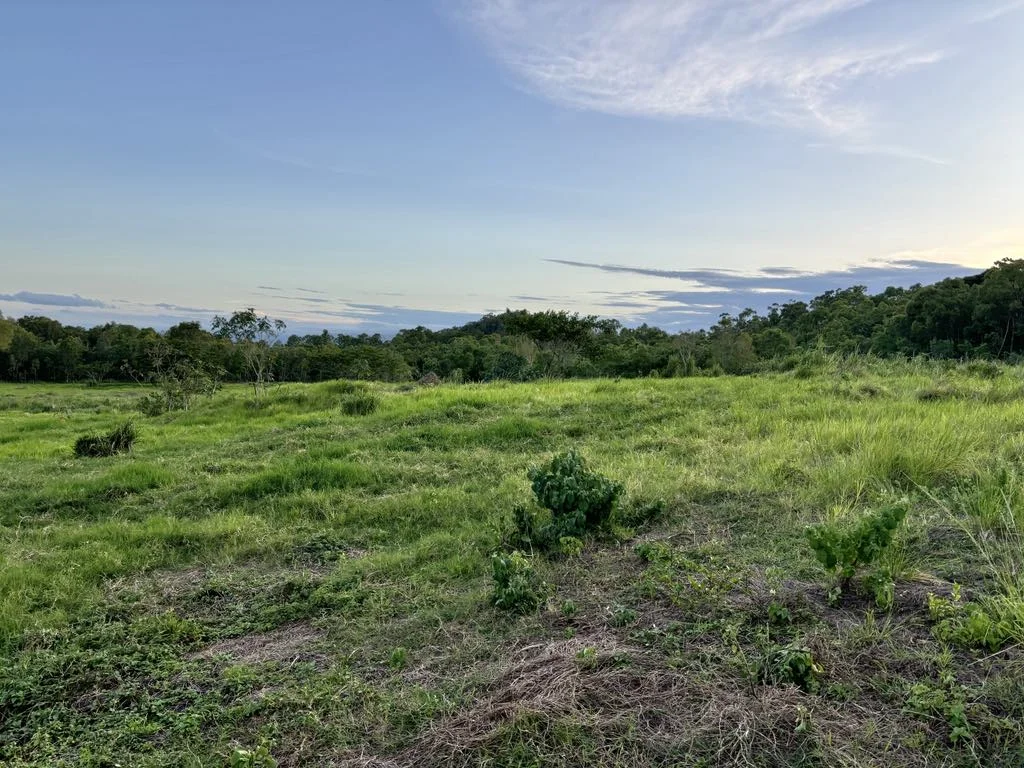 Additional image 26 of 25 Lions Lookout Road, Blackrock QLD 4850