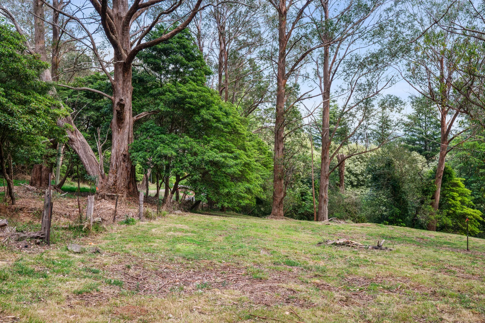 Additional image 4 of 4 William Street, Bowral NSW 2576