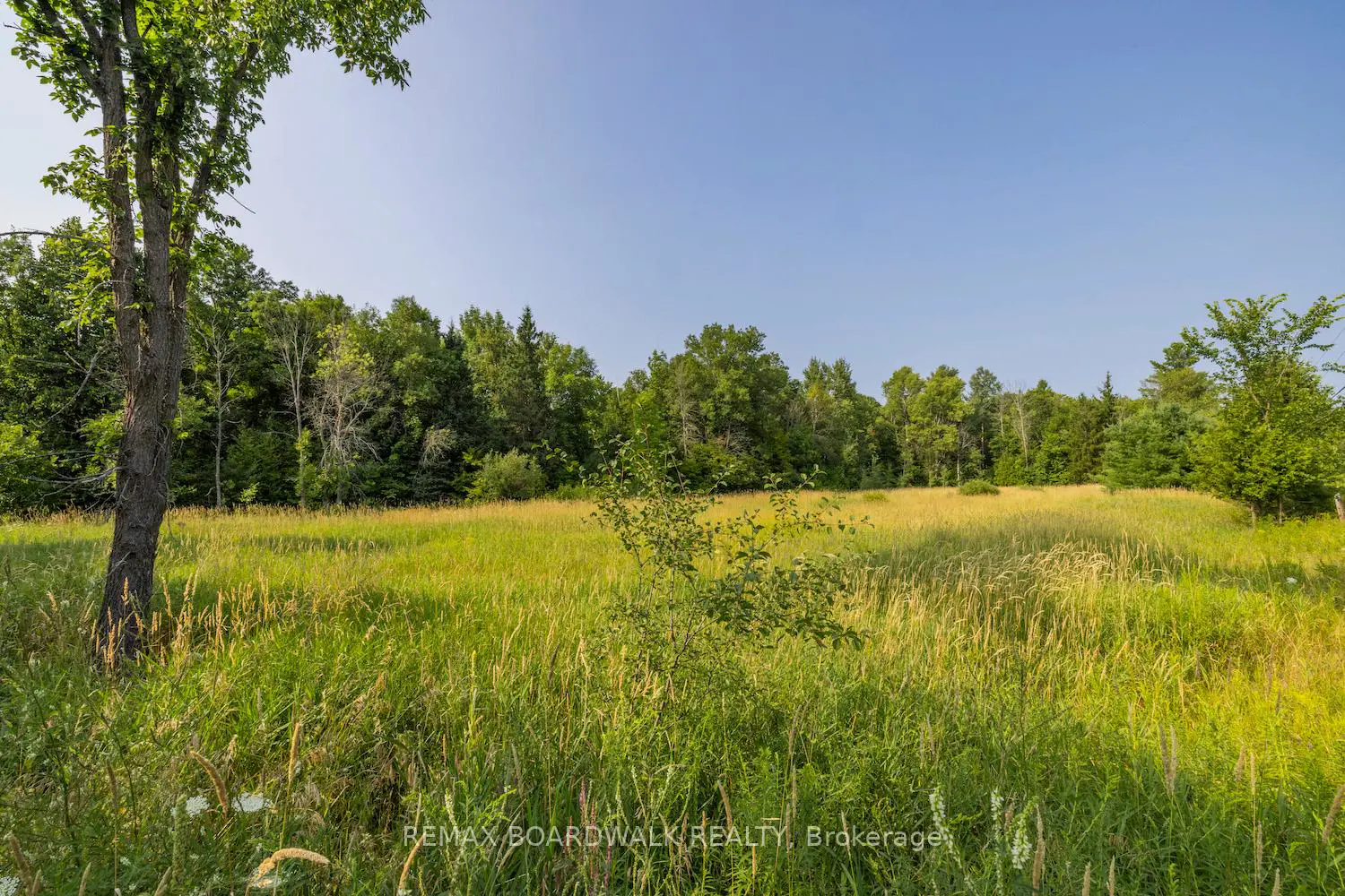 Additional image 4 of 752 Bennett Lake Road