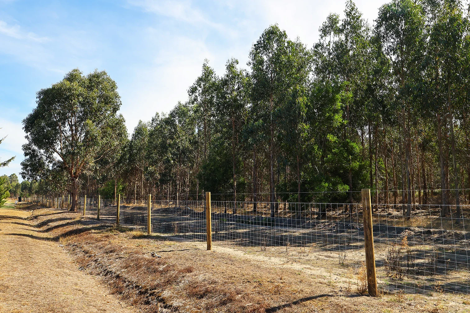 Additional image 2 of 44 Fincks Road, Heathmere VIC 3305