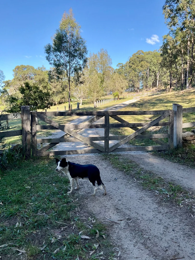 Additional image 20 of Ashby NSW 2463