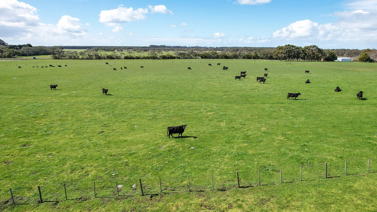 Additional image 19 of 395 Settlers Road, Tyrendarra VIC 3285