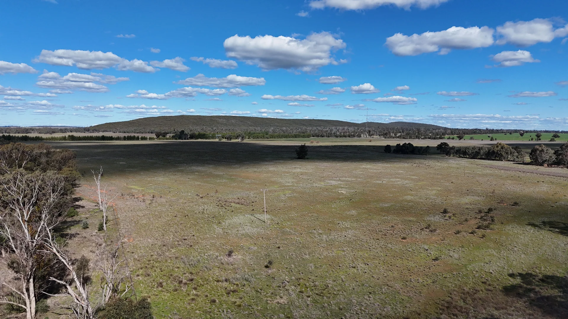 Additional image 50 of 3544 Henry Parkes Way, Bogan Gate NSW 2876