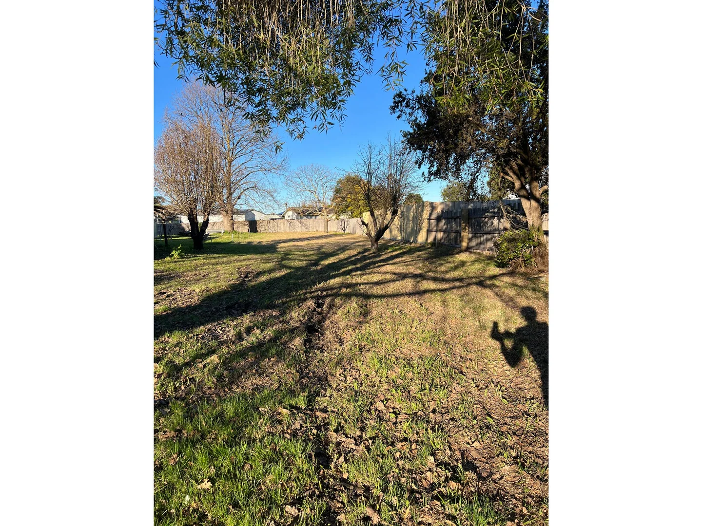 Additional image 7 of Lot 1, 128A 128A Tennyson Street, Orbost VIC 3888