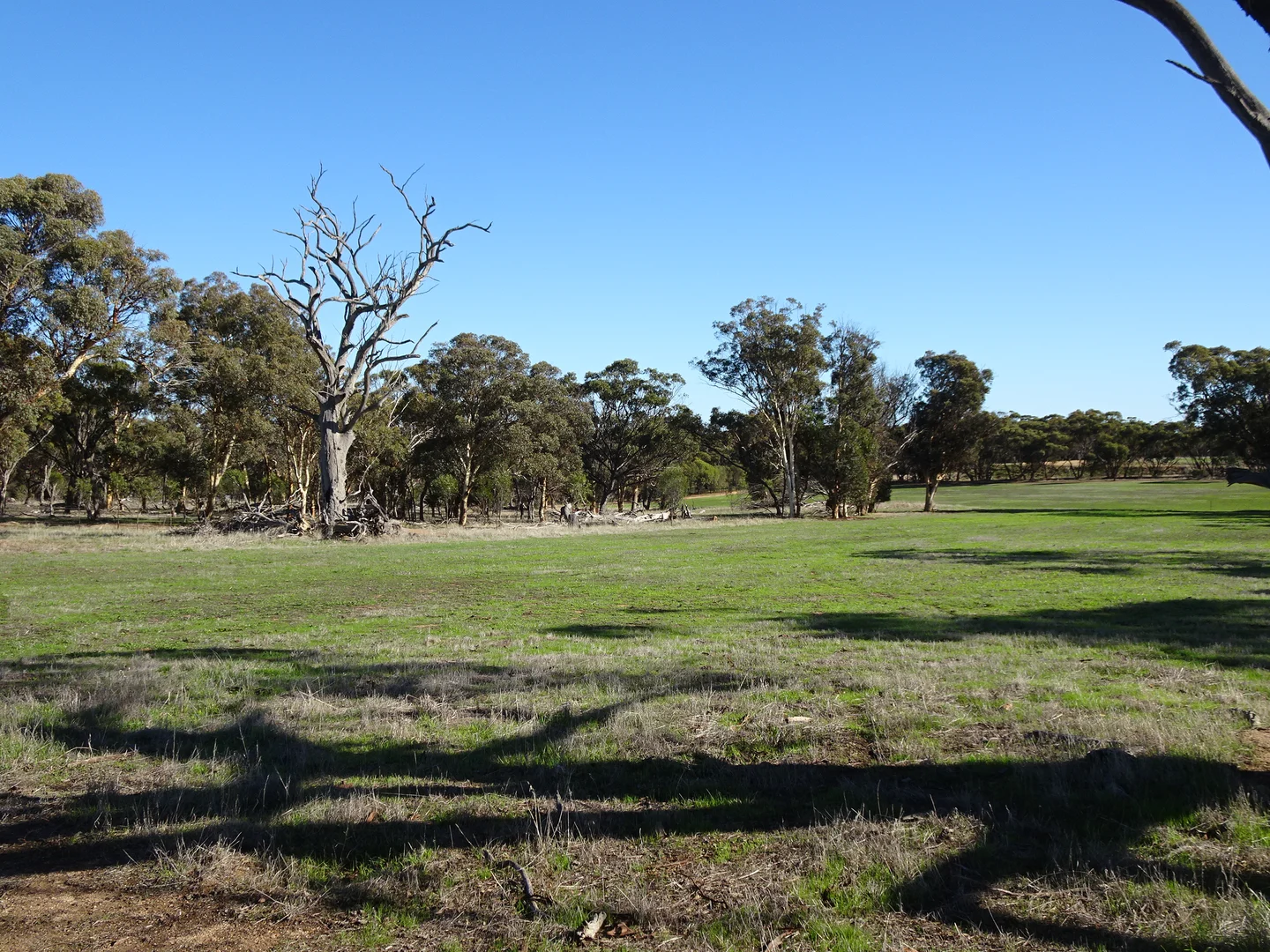 Additional image 12 of Shaddick Road, East Pingelly WA 6308