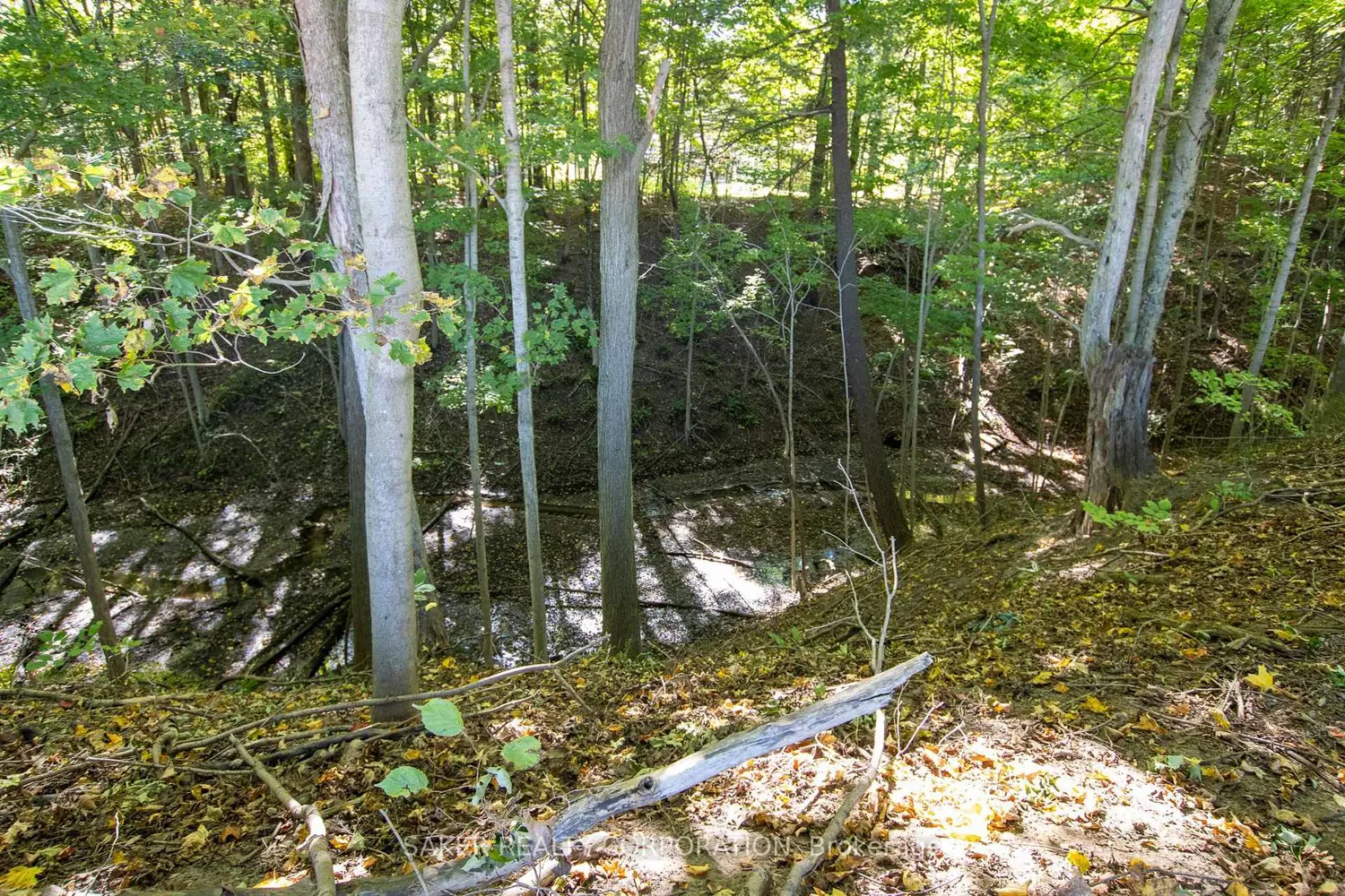 Additional image 6 of 22560 Troops Road