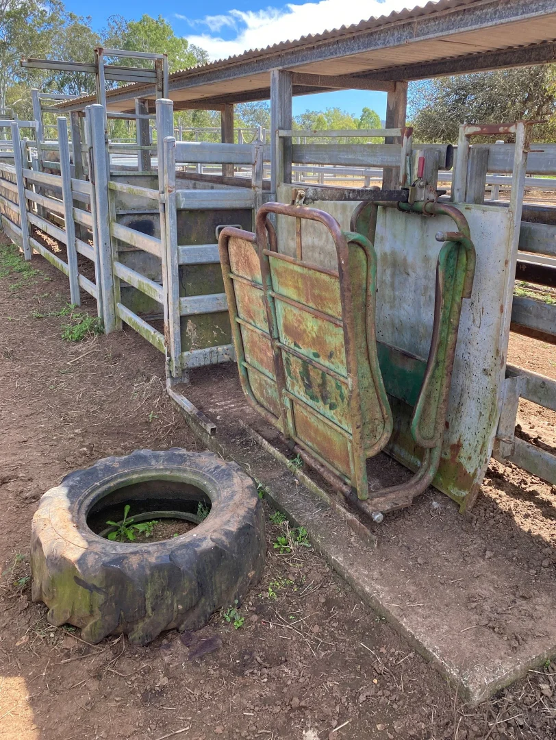 Additional image 27 of Innot Hot Springs QLD 4872