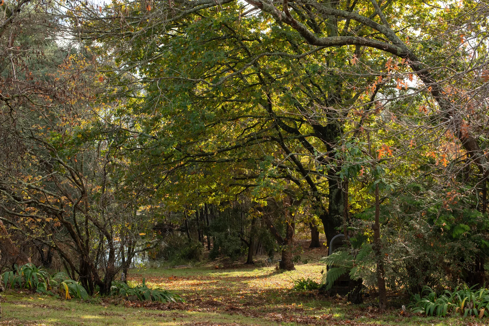 Additional image 21 of 13 Morrison Street, Kimberley TAS 7304