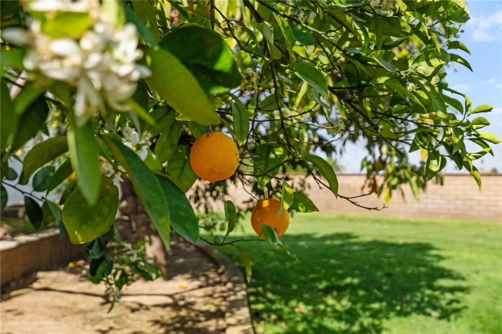 Additional image 40 of 2429 Chauncy Place, Riverside, CA 92506