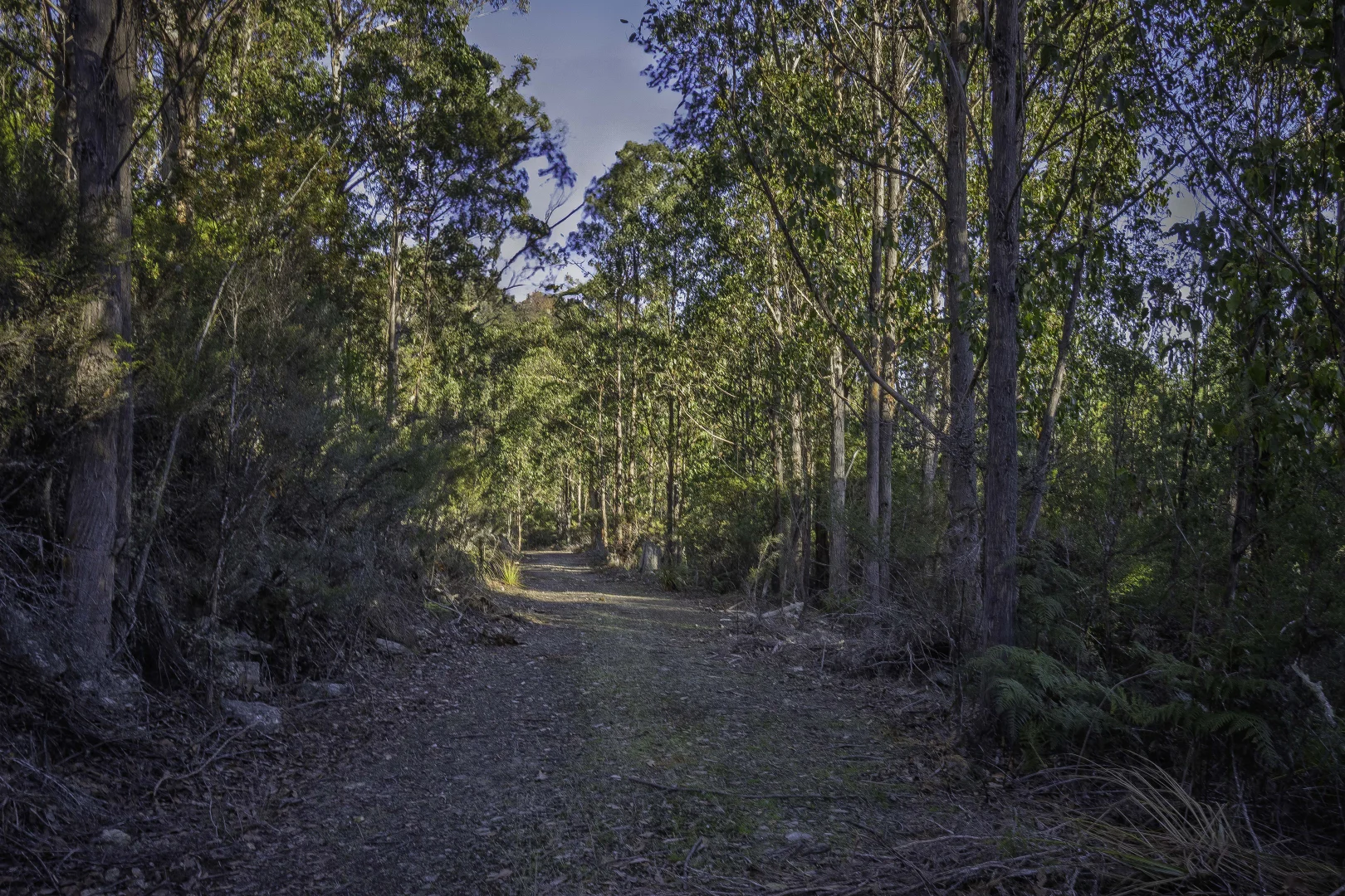 Additional image 25 of Judbury TAS 7109