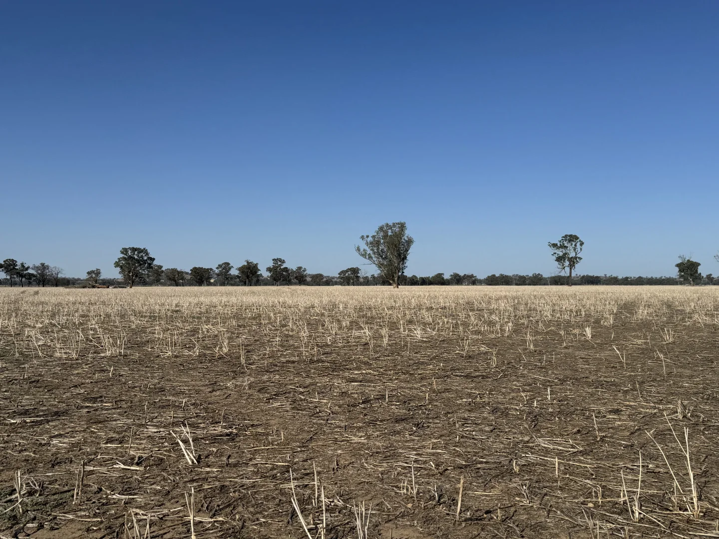 Additional image 7 of 122 Reapers Road, Culcairn NSW 2660