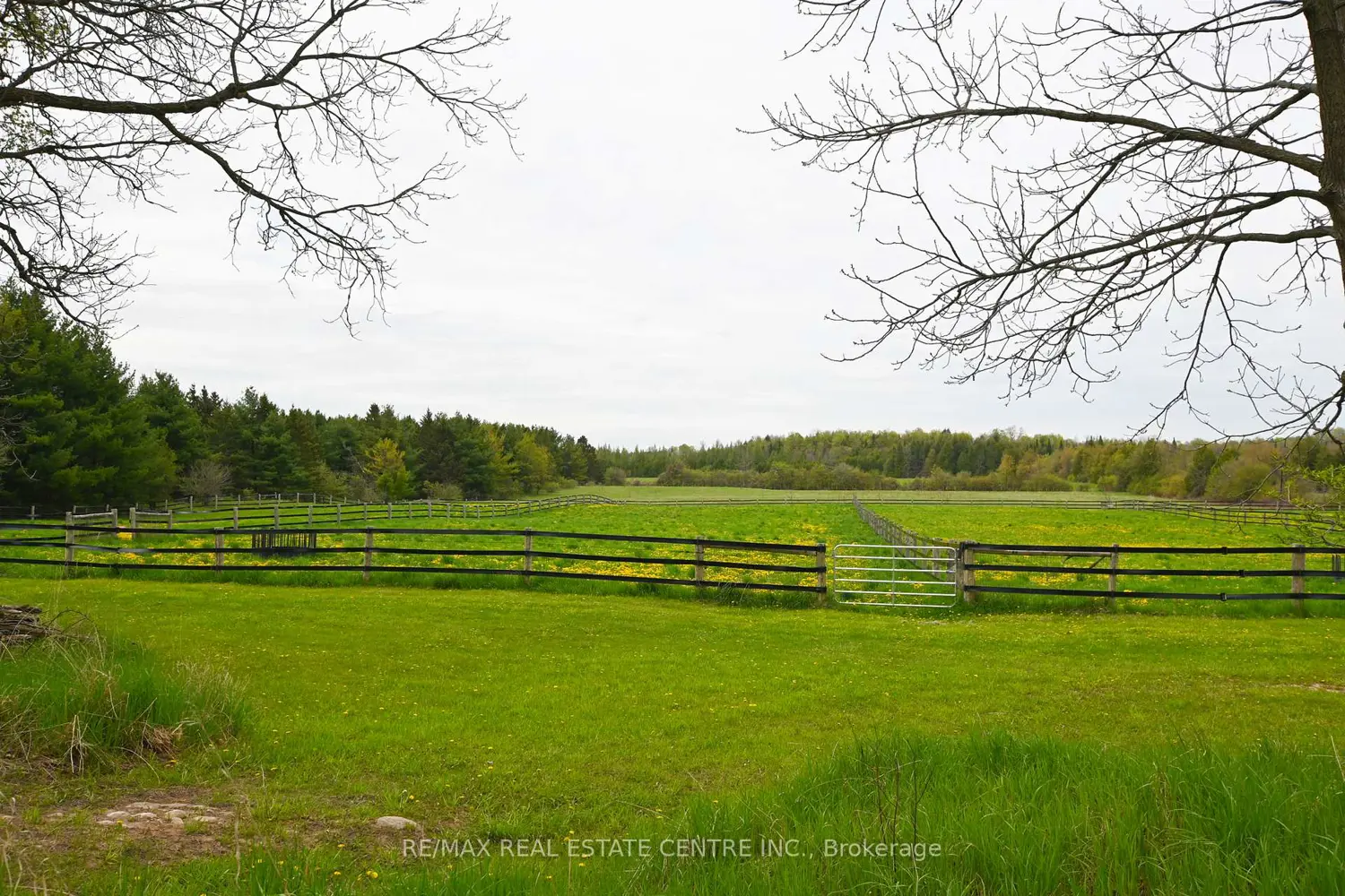 Additional image 8 of 5192 Third Line