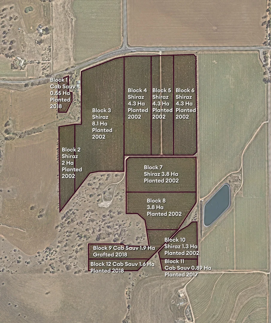 Additional image 38 of 87 Sir Condor Laucke Way, Greenock SA 5360