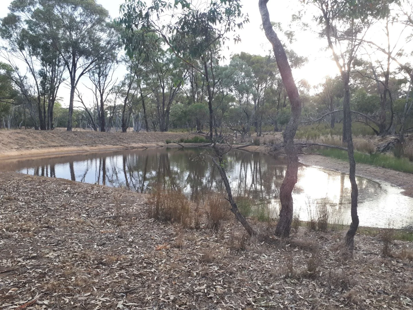 230 PuzzleFlat Road, Bealiba VIC 3475