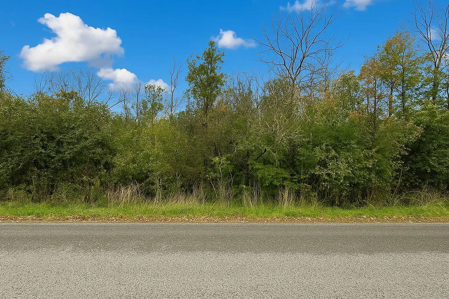 Additional image 4 of Lot 15 Martin Drive
